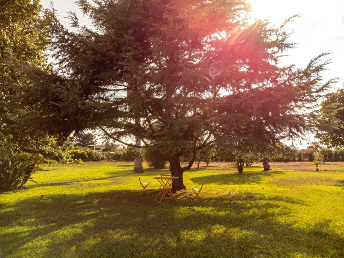 Elea Resort 2 Preveza Eksteriør bilde
